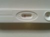 20160620_081044.jpg