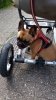 IMG-20160622-WA0005.jpg