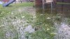 20160624_071825.jpg