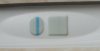 Test.jpg