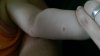 IMAG0556.jpg