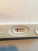 thumb_IMG_1291_1024.jpg
