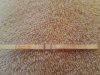 20160505_113613.jpg