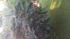 20160703_192946.jpg