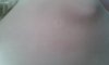 20160709_100408.jpg