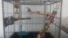 20160711_095946.jpg