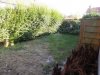 Tuin (1).jpg