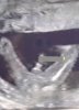 123-200.jpg