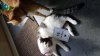 IMG-20160801-WA0001.jpg