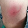 _20160801_174223.jpg