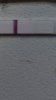 Screenshot_20160813-095150.jpg