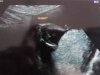 IMG-20160812-WA0010.jpg