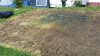 20160811_095347.jpg