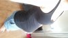 20160814_170531.jpg