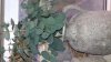 20160819_133555.jpg