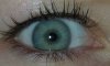 IMG_20160820_225928.jpg