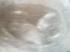 IMG-20160817-WA0028.jpg