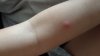 20160827_182658.jpg