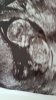baby echo 13 weken .jpg