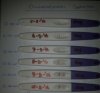 20160910_233541.jpg