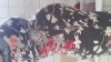 20160916_095502.jpg