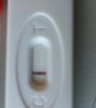 2016-09-20 10.29.16.jpg