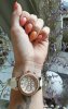 IMG_20160726_110817.jpg