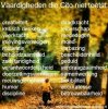 993416733334bb150de11c7150509548.jpg