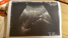 IMG-20160929-WA0008.jpg