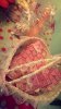 IMG-20161015-WA0056.jpg