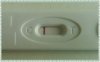 PhotoGrid_1476776824856.jpg