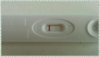 PhotoGrid_1476778001432.jpg