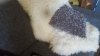 20161019_124816.jpg