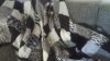 20161019_124811.jpg