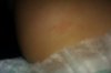 IMAG0035.jpg