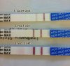 4dipstick-lineup-Oct-3,2012.jpg