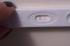 IMAG0469.jpg