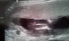20121006_133745.jpg