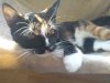 DSC00116.jpg