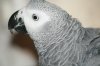 IMG_4254.jpg