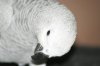 IMG_4256.jpg
