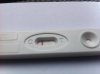 test2_10101.jpg