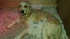 IMG-20161016-WA0000.jpg