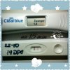 PhotoGrid_1477116352037.jpg
