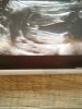 IMG_20161024_162424.jpg
