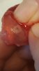 IMG-20161026-WA0003.jpg