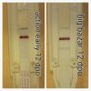 PhotoGrid_1477678949266.jpg