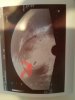 20161030_101700.jpg