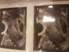 20161103_163611.jpg