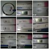 12 tm 20dpo weken.jpg